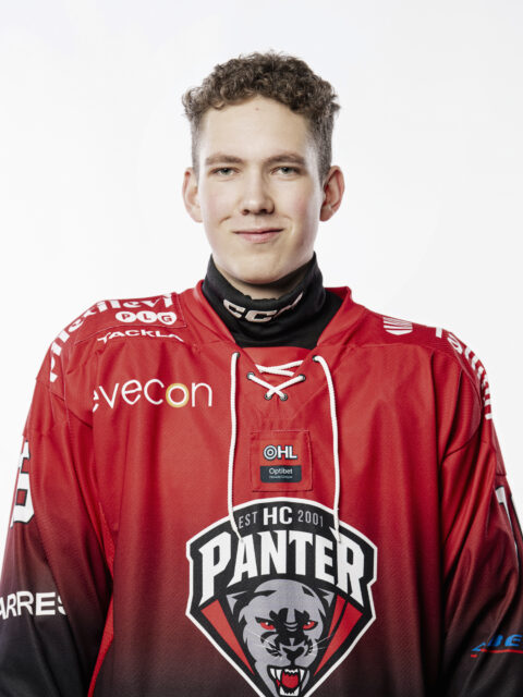 Aleksandr Hmelnitski