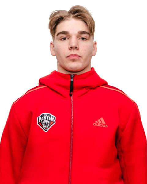 Artjom Abeljanov