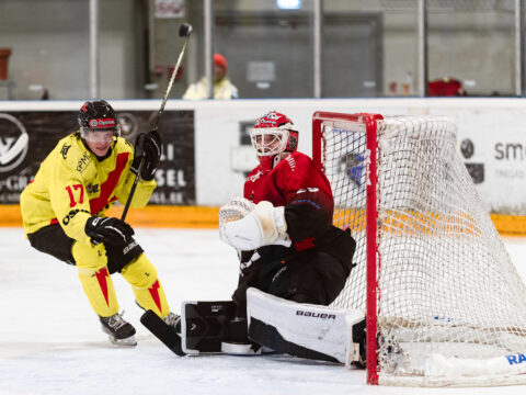 HC Panter naasis Leedust ühe punktiga