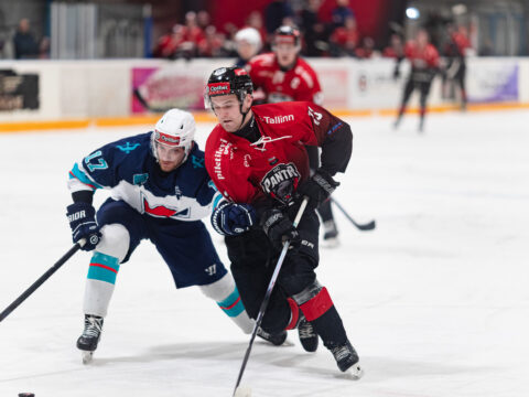 HC Panter jäi Kiievi Capitalsile napilt alla